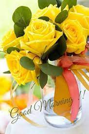 We did not find results for: Popsugar Good Morning Flowers Morning Flowers Yellow Roses