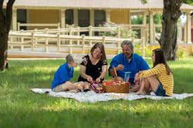 7.1 life is cellular lesson objectives state the cell theory. Things To Do In Mesquite Tour Texas