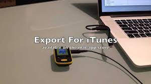Below you can view and download the pdf manual for free. Transfer Itunes Playlists To Sandisk Clip Sport Mp3 Player Mac Youtube