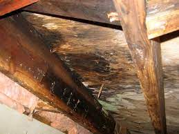 Sagging Floor Repair | San Jose, San Francisco, Fresno
