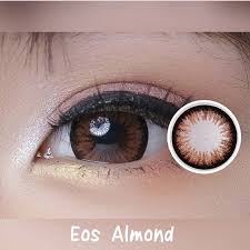We did not find results for: Softlens Eos Almond Brown Choco Belita Grey Normal Dan Minus Shopee Indonesia