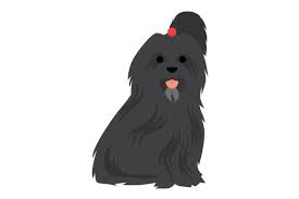 Download Black Havanese Dog Svg Cut File By Creative Fabrica Crafts Creative Fabrica SVG Cut Files