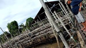 Selain memiliki rasa yang lezat, tekstur dagingnya. Ketika Petambak Ikan Patin Keramba Oki Diterpa Pandemi Tak Ada Agen Medsos Pun Jadi Populinews
