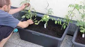 Wollen sie unserer anleitung noch eine drainageschicht hinzufügen, ist das kein problem. Tomatenkubel Einfach Und Gunstig Selbst Bauen Youtube