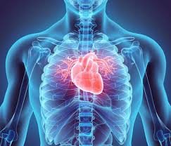 Cardiovascular Disease Heart Disease Aspcares Pharmacy Cardiovascular Disease Heart Valve Disease Vascular Surgery