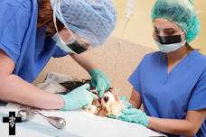 Emergency Surgery for OoH: New Grads: 2 Day Course