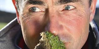 de Herkenbosche (@golfherkenbosch)