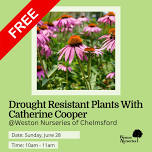 Drought Resistant Plants With Catherine Cooper At Weston Nurseries