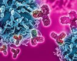 It is worth paying attention to your appearance. Breakthroughs Including A Drug Cure For Kidney Cancer Unveiled At World S Biggest Cancer Conference Daily Mail Online