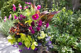 Whereas bouquets and floral arrangements offer a burst of color and life which can fade in a short time, potted plants retain their vivacity long after they have been purchased. 20 Summer Container Ideas Bbc Gardeners World Magazine