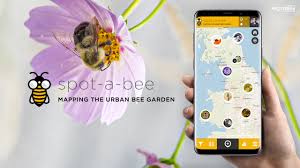 How to plant a honey bee garden. Spot A Bee Spotteron Apps