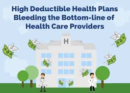 You pay the first €385 for the costs of. The Rise Of High Deductible Health Plans Infographic