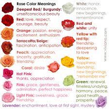 When you want to show your admiration or passion, beautiful pink lilies are the perfect flowers to gift. Common Rose Color Meanings For Deepest Red Burgundy Red Red And White Yellow With Red Tip Orange Yello Rose Color Meanings Flower Meanings Color Meanings