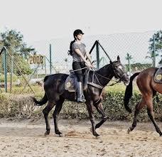 Experience Horseback Riding At One Of The Oldest Largest Private Civilians Riding Clubs In Mumbai Tripoto Horse riding is a sport that is also called equestrianism.