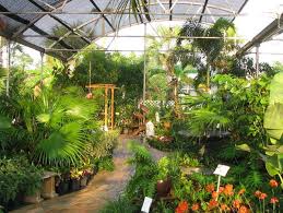 Grow lights, hydroponics, indoor grow soil at local indoor garden store two in caro, michigan 48723 Discover The Magic Of Expert Full Service Garden And Landscape Solutions