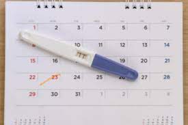 2 wie wird der früheste schwangerschaftstest mit urin durchgeführt? Ab Wann Kann Man Einen Schwangerschaftstest Machen