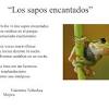 Libros de texto quinto grado ciclo escolar 2019 2020. 1