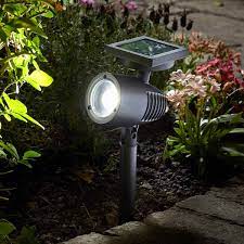 Pin On Solar Lights Garden