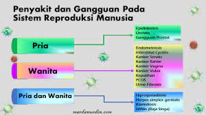 Penanganan yang diberikan bertujuan untuk mengurangi kemungkinan komplikasi, seperti gangguan berkemih atau buang air besar, gangguan pada saluran pernapasan, jantung, atau pembuluh darah, dan gangguan pembekuan darah. Kenali Penyakit Pada Sistem Reproduksi Manusia Mardanurdin Com