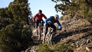 When it comes to mountain bikes, each part of its physique matters. 10 Best Mountain Bikes Of 2021 Gearlab