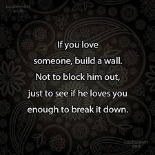 Quote If You Love Someone Build A Wall Not To Block Him Out Coolnsmart