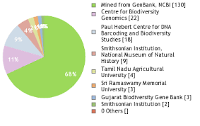 Image result for Coccinia subsessiliflora