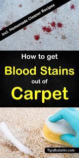 Find cleaning blood from carpet. How To Get Blood Stains Out Of Carpet Homemade Carpet Cleaner Recipes