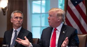 Judy Asks: Is Trump Wrong About NATO? | Carnegie Endowment for  International Peace