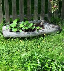 Elegant and functional, pots and planters add a natural accent to living rooms, corridors, balconies, porches, patios and elsewhere. 25 Log Planters Eco Friendly Planters How To Make A Log Planter