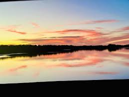 How about that rain! It was much needed. About 3.25” in North Columbus.  #rain #neededit #wtvmwx 📸: Alan Branton