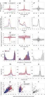 State the objectives of the audit test. Transcranial Alternating Current Stimulation Entrains Alpha Oscillations By Preferential Phase Synchronization Of Fast Spiking Cortical Neurons To Stimulation Waveform Nature Communications