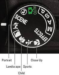 Choosing Scene Modes W Nikon D5100 Camera Photography Nikon D5100 Dslr Photography