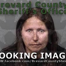 Florida woman allegedly drove golf cart drunk, started passing out