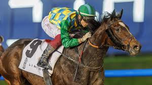 Image result for Handic 1600