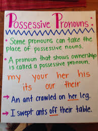 Possessive Pronouns Anchor Chart 3rd Grade Other