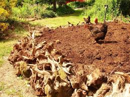 How to build a permaculture fruit tree guild. What Is A Hugelkultur Bed Creating Urban Hugelkultur Garden Beds