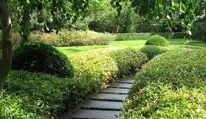 Ludwig Gerns Garden Hedges Landscape Architect Garden Design