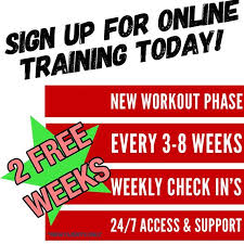 Sign Up For Online Training Today We Are Running A Promo For The Month Of December To Give You An Incen Online Training Fitness Nutrition Plan Fitness Experts