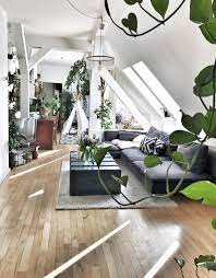 pin auf urban jungle wohnen mit pflanzen