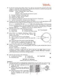 Pin On Biology
