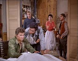 Bonanza (TV Series 1959–1973)