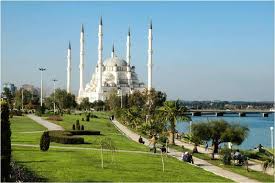 mersin hakkında bilgi ile ilgili görsel sonucu