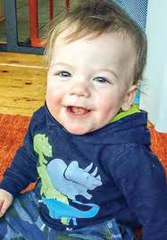 There are monkeys in our tree