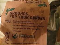 Starbucks Ants And Apples Starbucks Uses For Coffee Grounds Coffee Grounds