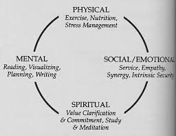 7 Habits Highly Effective Families Pdf Google Search Highly Effective People Seven Habits Stress Management