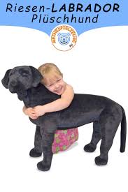 May 02, 2021 · listenhunde sind hunde, die aufgrund ihrer rassezugehörigkeit als gefährlich eingestuft werden.welche hunderassen in den deutschen bundesländern auf den rasselisten stehen, was halter beachten müssen und vieles weitere über listenhunde, erfahrt ihr hier. Schwarzer Labrador Pluschhund Wie Echt Aussehend Labrador Kuscheltier Hund Riesen Kuscheltier