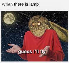 Please Enjoy These 32 Moth Memes That Made Me Cry From Laughing Funny Memes Memes Great Memes