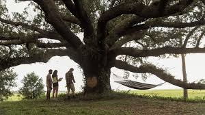 Season 2 has been confirmed after the apparent success of the first season and is set to hit the screens on friday, july 30, 2021. Outer Banks Fixe La Date De La Premiere De La Saison 2 Regardez Le Teaser Video Series 80
