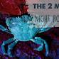 Night Rockpool event image