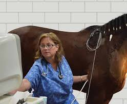 REPORT OF GIVING 2016